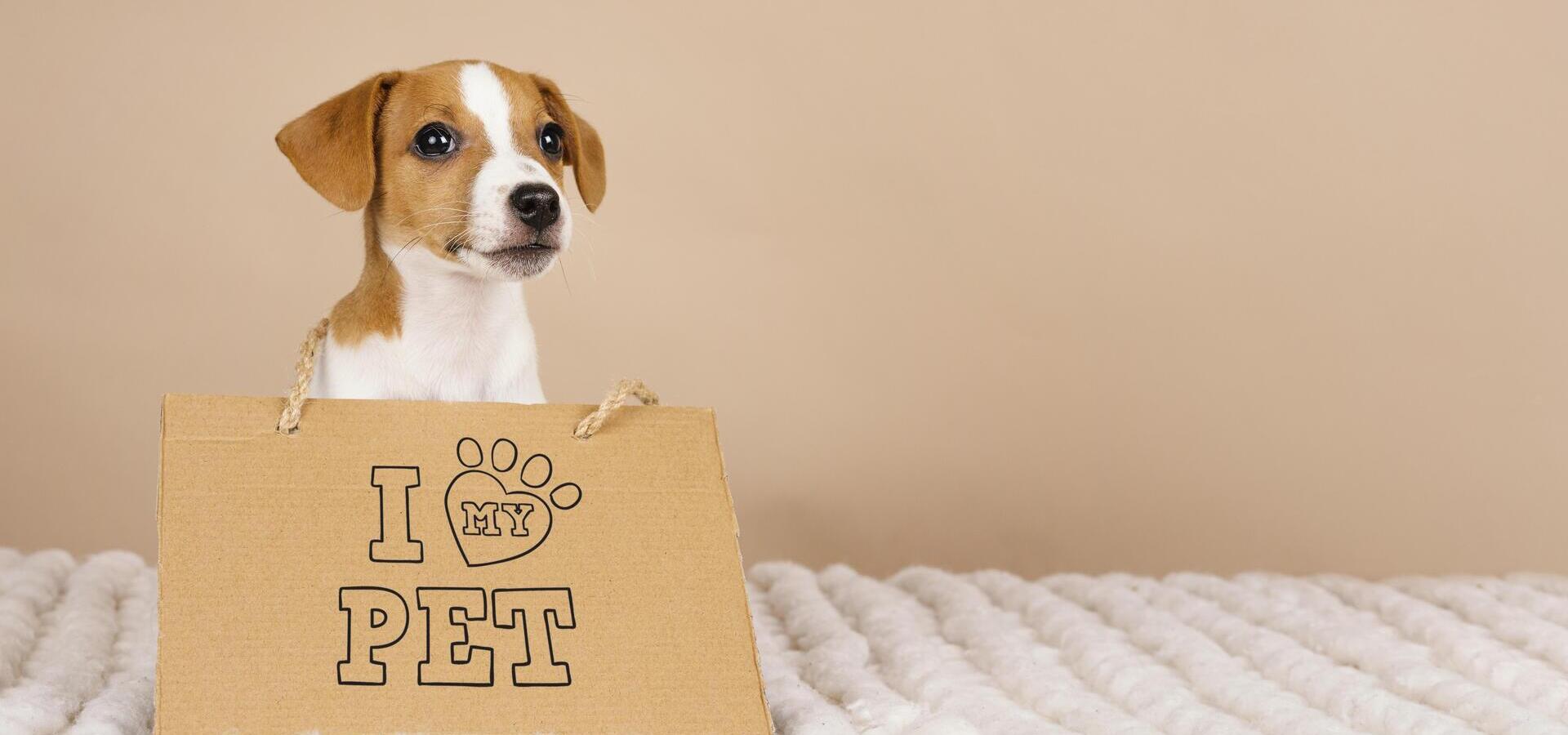 slider image slider_item_1